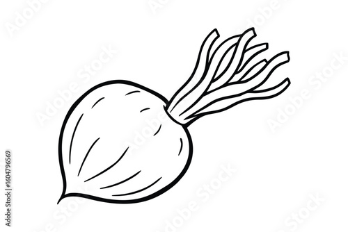 Celeriac Root Whole Clean Background No Text