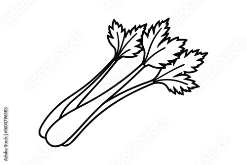 Celery With Stalks And Leaves Flat Vector
