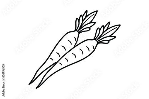Carrot Top Leaves Clean Style No Text