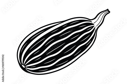 Bitter Gourd With Ridged Skin Vector Design