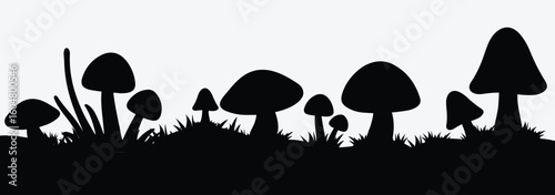 Wild mushroom vector silhouettes. Black silhouettes isolated on white background. Flat nature fungi vector illustrator. 