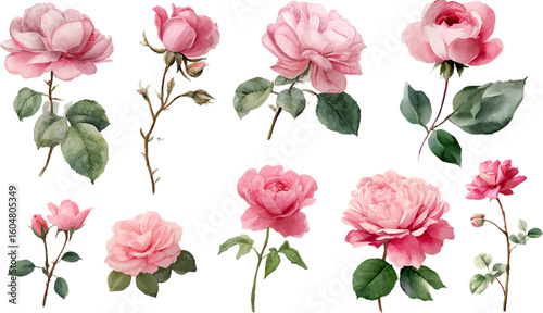 seamless pattern with pink roses