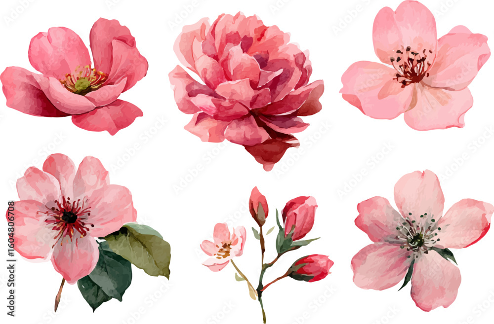 Obraz premium set of pink flowers