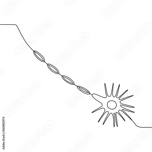 Neuron Anatomy Line Art Illustration with Myelin Sheath and Dendrites Medical Biology Education Concept