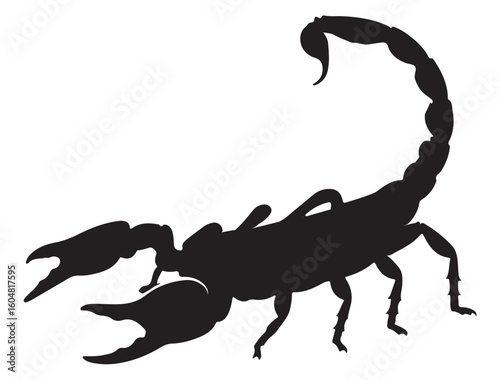 SCORPIO SILHOUETTE