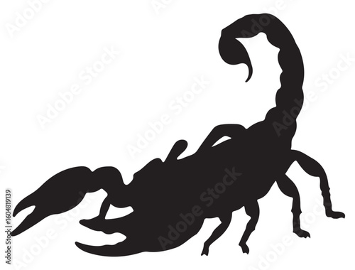 SCORPIO SILHOUETTE