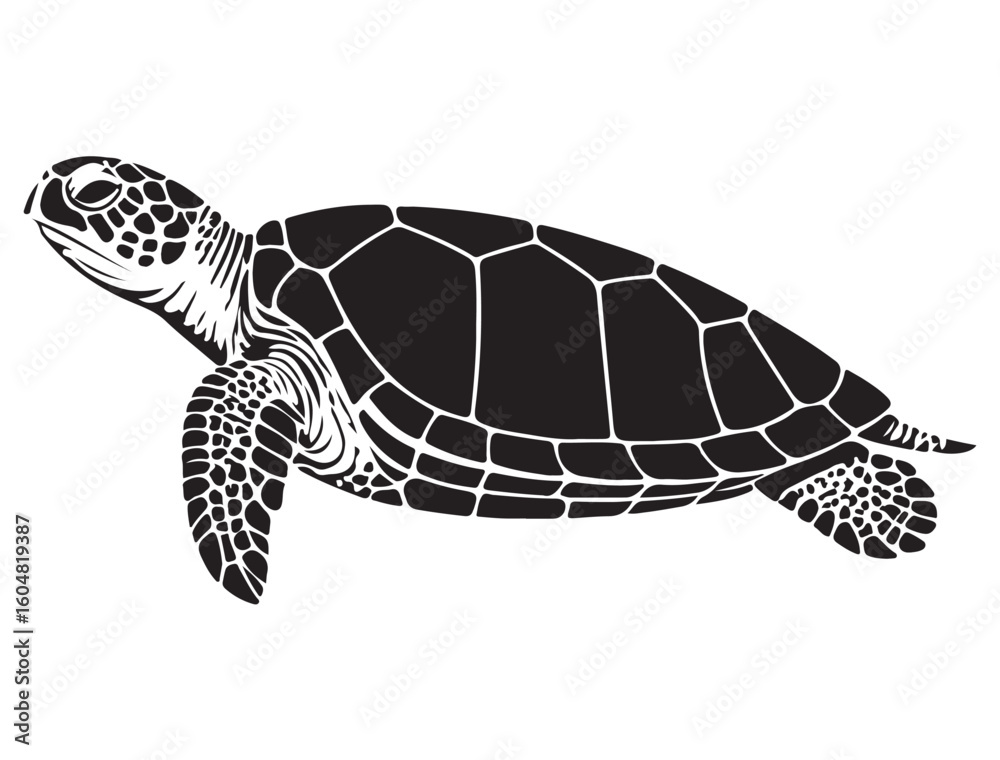 Fototapeta premium SEA TURTLE SILHOUETT