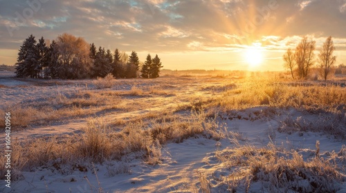 Winter sunrise over frosted field