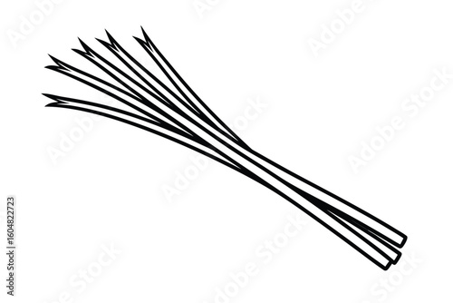 Whole Lemongrass Stalks Flat Vector No Text