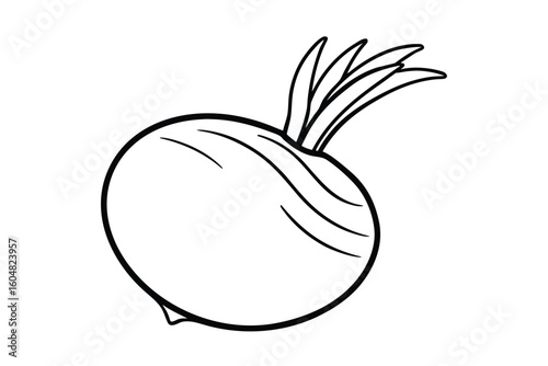 Turnip With Purple Top Flat Vector No Text
