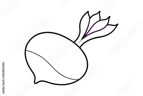 Turnip With Purple Top Flat Illustration