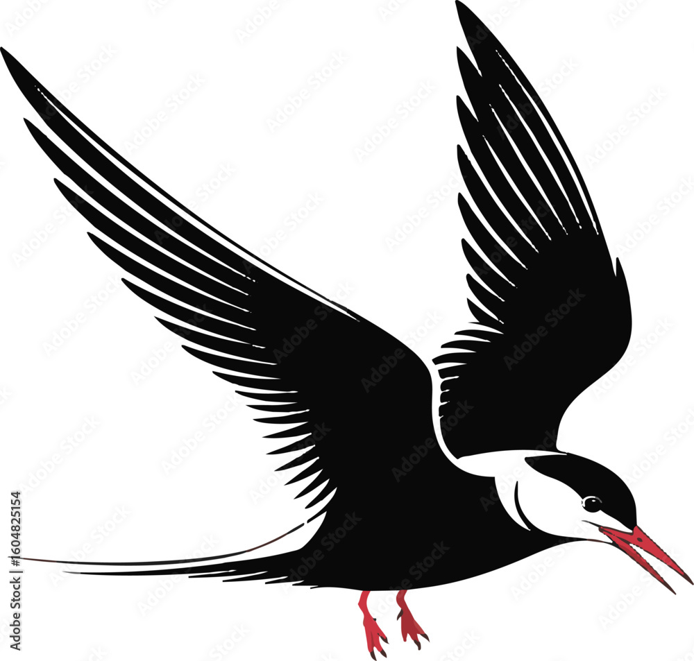 Obraz premium Artistic vector illustration of a graceful black and white bird in mid-flight