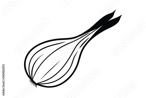 Spring Onion With Green Top Vector Clean Style
