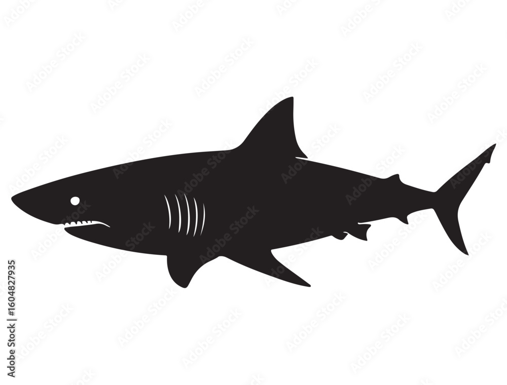 Obraz premium SHARK SILHOUETT