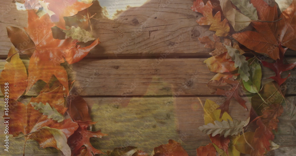 Naklejka premium Framing rustic wooden plank surface on tabletop, creating fall scene with oak and maple leaves