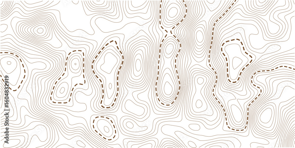 Obraz premium topographic map