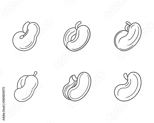 Cashew nut line art vector illustration collection showing different angles of the popular snack food in black and white