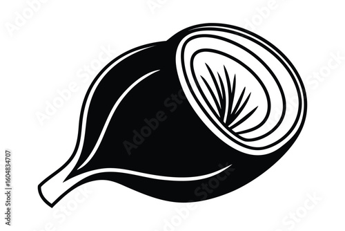 Sliced Beetroot Cross Section Flat Vector No Text