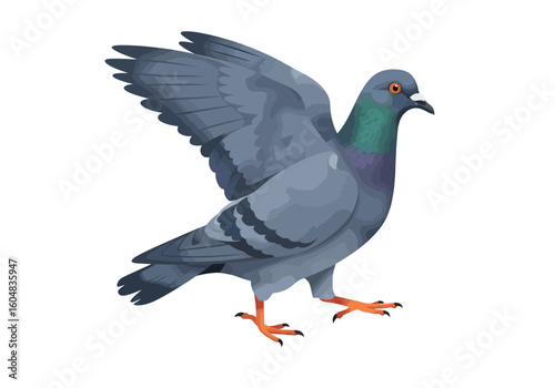 Pigeon with wings spread gray plumage orange eyes vector illustration.