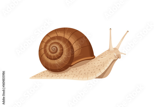 Brown Spiral Shell Garden Snail with Beige Body Detailed Illustration.