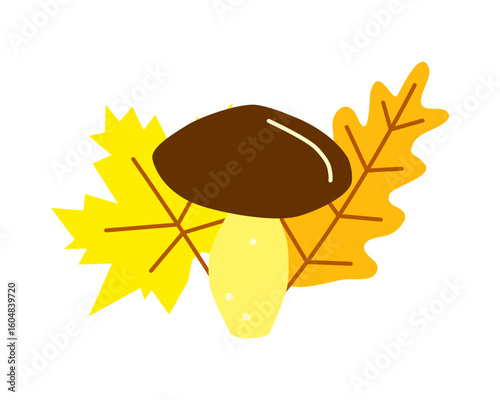 Cute hand drawn flat autumn mushroom birch bolete and maple, oak leaves isolated on white background.
