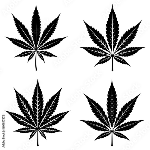 Four black cannabis leaves arranged symmetrically on a white background in a square formation design layout