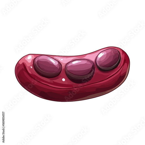 Vector bitter bean 