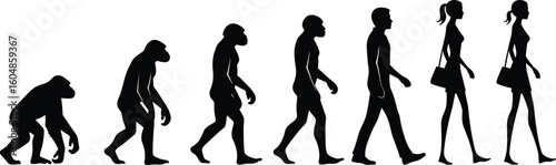 Silhouette timeline of human evolution from primates to modern man, gradual transformation, biological development stages, abstract educational vector design