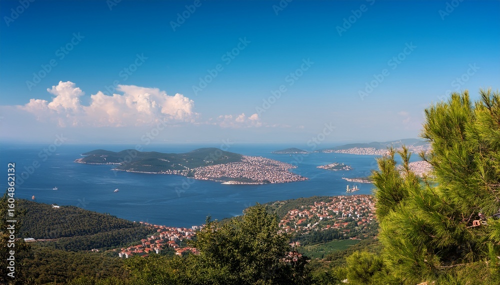 Fototapeta premium burgazada island and marmara sea scenic view from yucetepe hill on buyukada island adalar turkiye