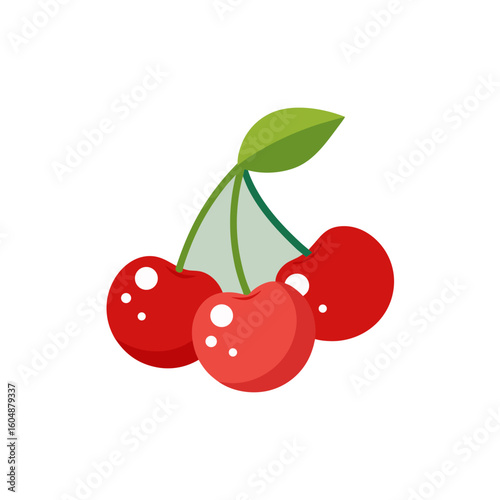 realistic cherry bunch with water droplets isolate