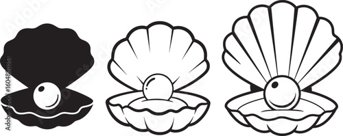 Three seashells with pearl silhouette