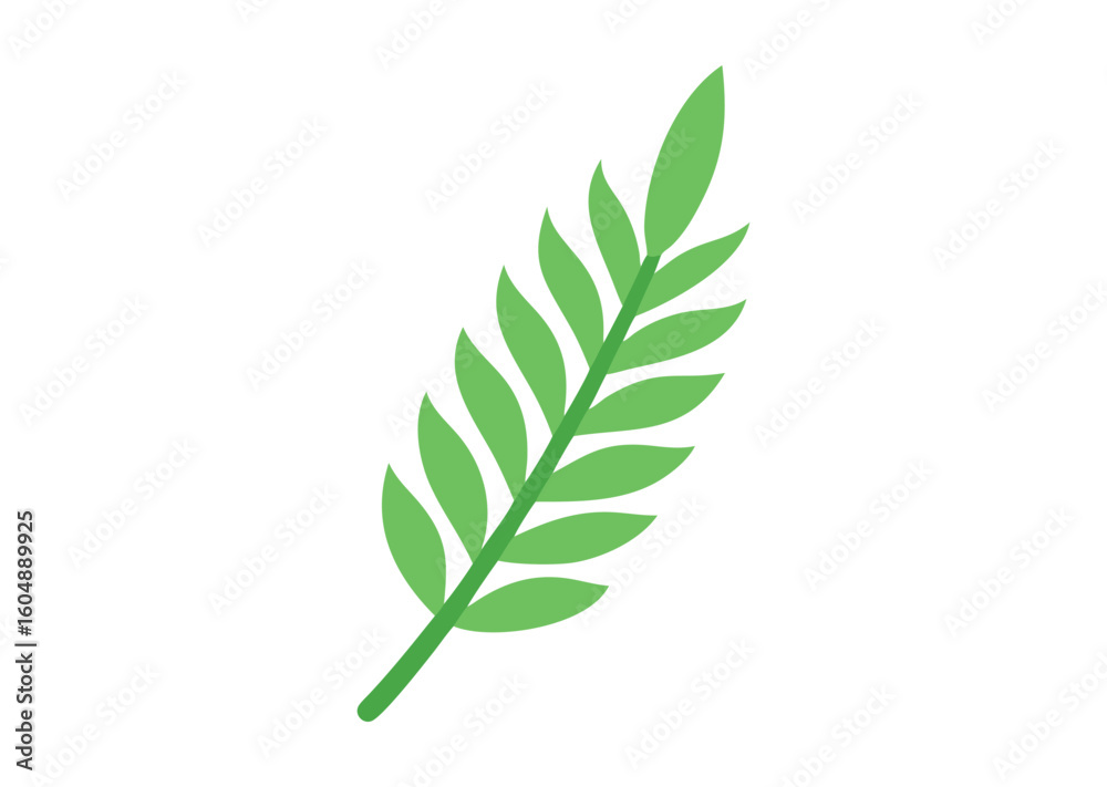 Fototapeta premium Fern leaf vector illustration