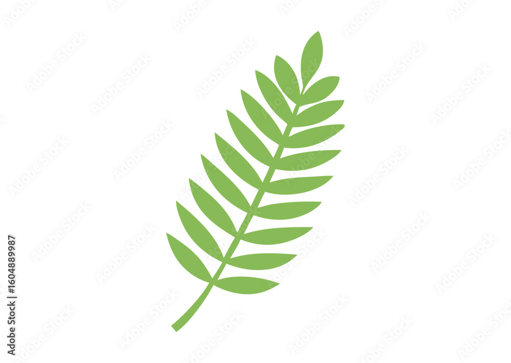 Fern leaf vector illustration Fern leaf vector illustration