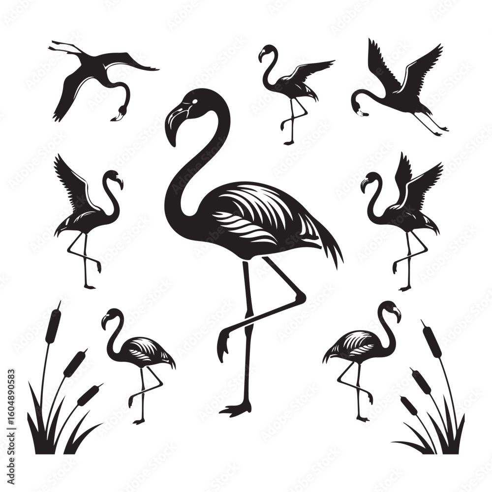 Obraz premium Silhouette illustration of flamingos in various poses and cattails