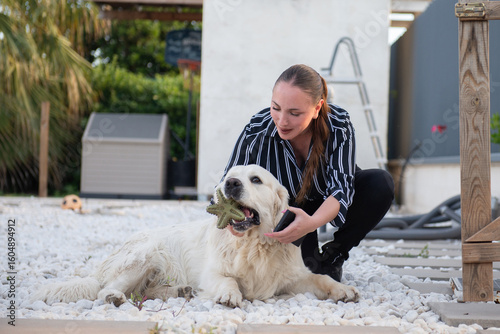 Woman playing with white big dog golden retriever holding toy in mouth on marble stones. Spending time with pet together outdoors