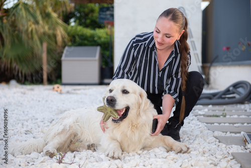 Woman playing with white big dog golden retriever holding toy in mouth on marble stones. Spending time with pet together outdoors