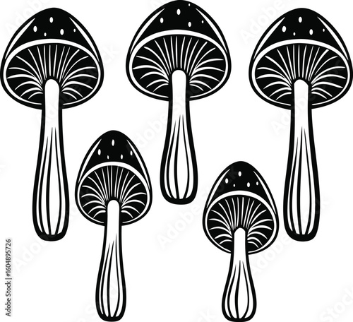 silhouettes of different types o silhouettes