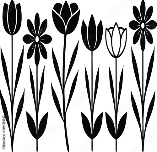 silhouettes of different types o silhouettes