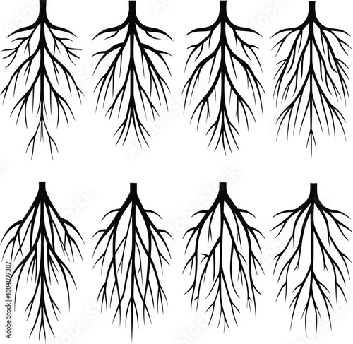 silhouettes of various tree root silhouettes