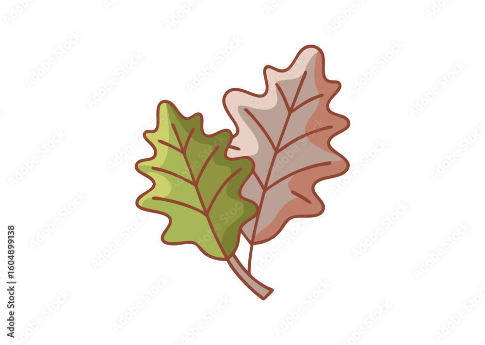 Fototapeta premium Oak leaf vector illustration 
