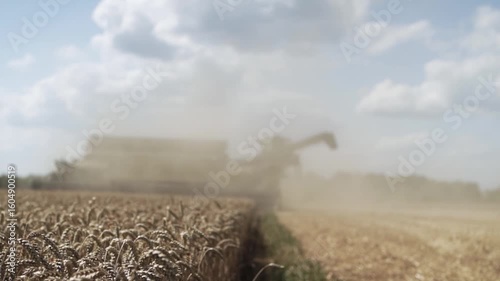 Modern Combine Harvester Operating in Golden Wheat Field during Harvest Season