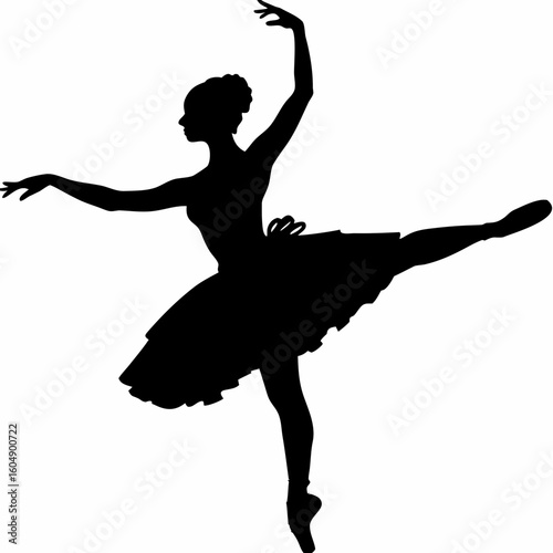 Grace in Motion – Spinning Ballet Silhouette Art