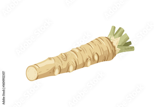 A horseradish root vegetable with a beige color and green stalks attached to the top