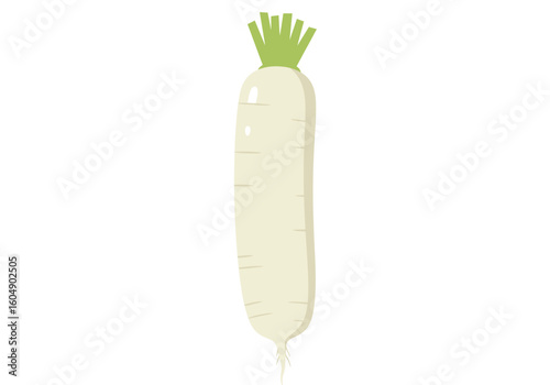 A white daikon radish with green leaves sticking out