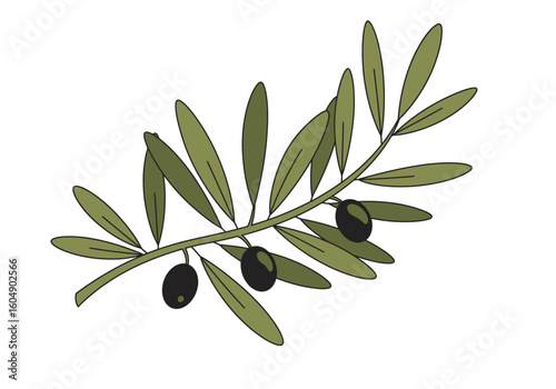 An olive branch features long green leaves and three black olives