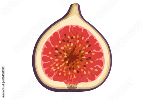 Sliced fig A juicy red interior filled with seeds enclosed by a pale skin with a dark purple border