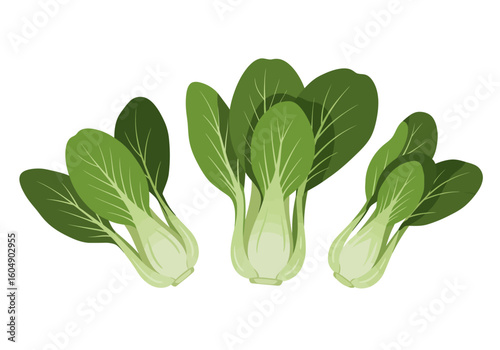 Three bunches of bok choy stand closely white stems and green leaves