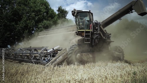 Modern Combine Harvester Operating in Golden Wheat Field during Harvest Season