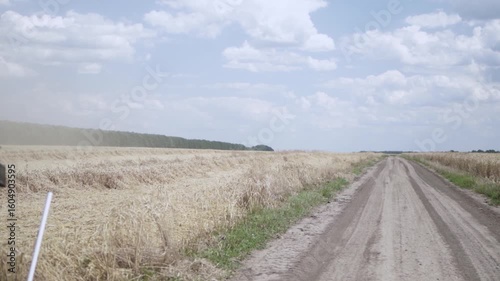 Modern Combine Harvester Operating in Golden Wheat Field during Harvest Season