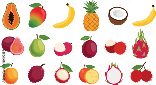 Papaya mango banana pineapple coconut guava passionfruit lychee rambutan dragonfruit vector